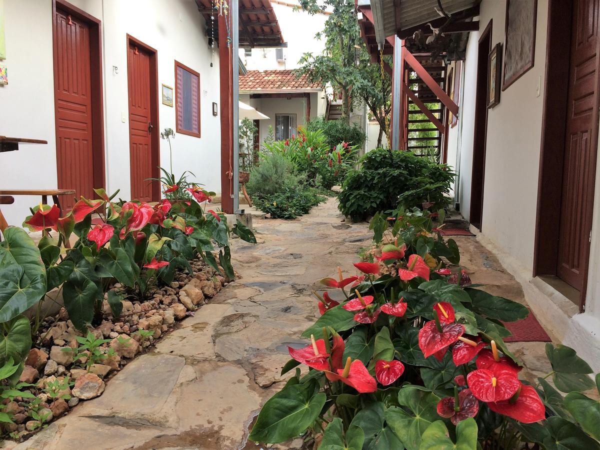 Flor De Debora Alto Paraíso de Goiás